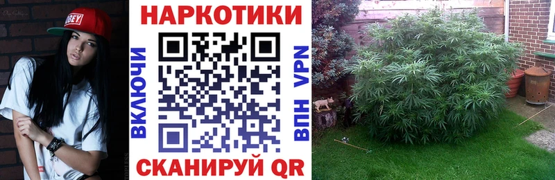 Купить Соль-Илецк Каннабис  Альфа ПВП  АМФЕТАМИН  ГАШ 
