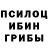 Галлюциногенные грибы Cubensis nicholas verrechia