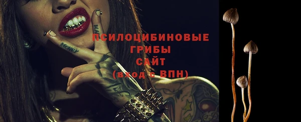 PSILOCYBIN Белоозёрский