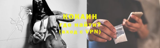 Альфа ПВП Белокуриха