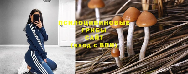 Альфа ПВП Белокуриха