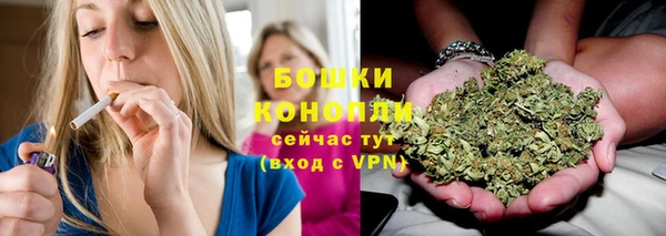 PSILOCYBIN Белоозёрский