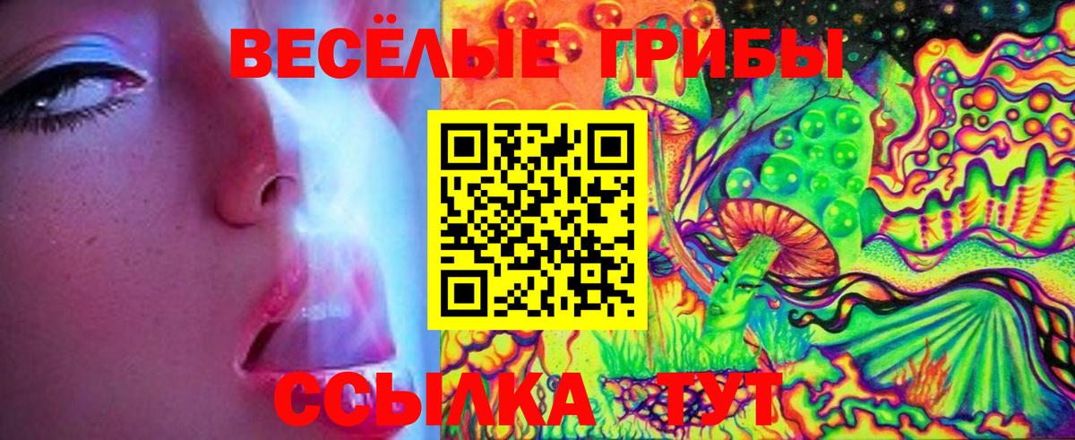 Галлюциногенные грибы MAGIC MUSHROOMS  Галлюциногенные грибы Magic Shrooms  Вход с VPN  Соль-Илецк 